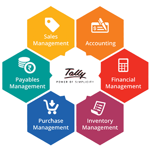 Tally License And Services